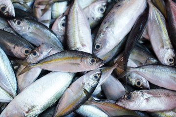 close up of fresh fish in asian grocery market