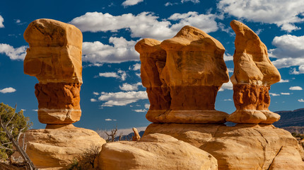 Hoodoos in Devil's Garden