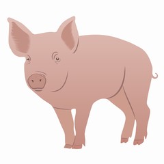illustration of piggy , vector draw