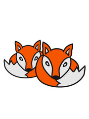 2 freunde team paar liebe rund liegend kugel schlafen fuchs schön design cool comic cartoon clipart logo tier wald