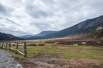 Wood fence with pasture