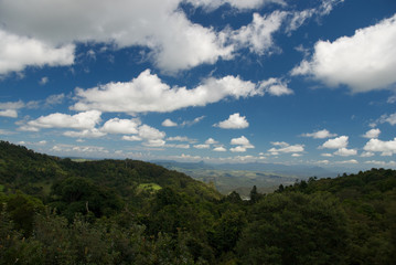 Australian landscape in sunny day