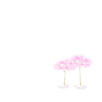 Japanese Cherry Blossom Trees, Sakura , water color style, vector illustration. 