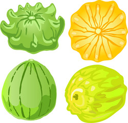Colorful harvest of pumpkins on white background