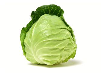 Fototapeta premium cabbage on white background