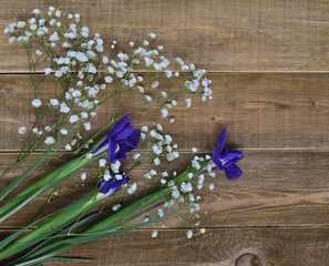 Top view of three blue iris flowers and small white  delicate flowers of  Gypsophila paniculata  on...