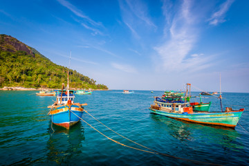 Fototapeta premium Vietnam