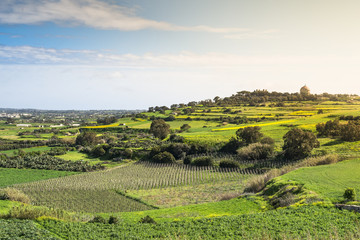 Blick über die Landschaft Maltas auf Mdina