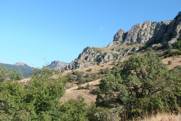 A panorama of wild vegetation at the foot of the Crimean mountain rocks.