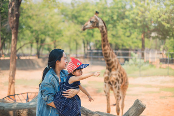 Happy family, young mother with girl , cute laughing toddler girl feeding giraffe during a trip to...