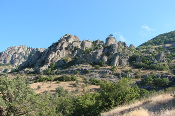 Fototapeta na wymiar A panorama of wild vegetation at the foot of the Crimean mountain rocks.