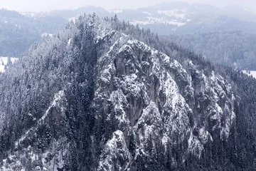 Fotobehang Winter mountain landscape in forest © Sebastian Studio