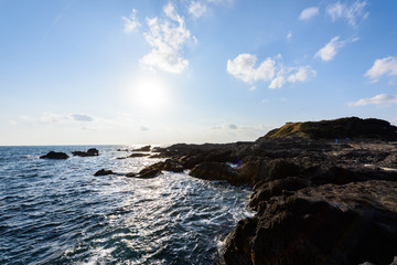 Fototapeta na wymiar 城ヶ島 Rugged coast