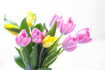 bouquet of purple tulips