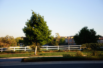 Pedestrian walkway for exercise and walk