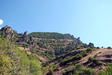 landscape of low mountain forests on the slopes of the Crimean mountain range.
