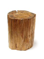 log isolated on a white background