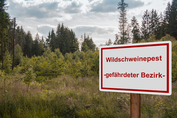 Wildschweinepest Afrikanische Schweinepest 