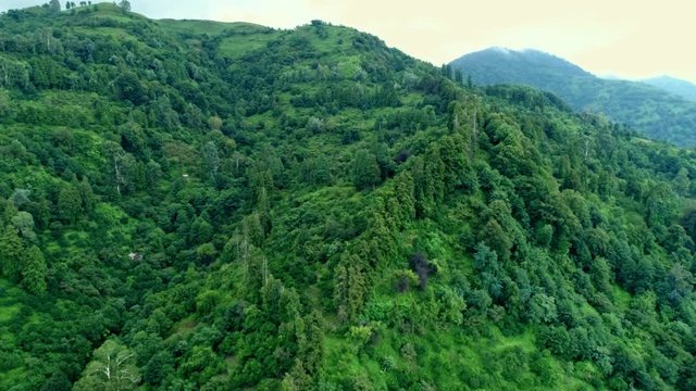 Aerial view and drone footage of lush mountains forest