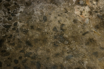 Old cement background in shades of green. Dark concrete texture material.