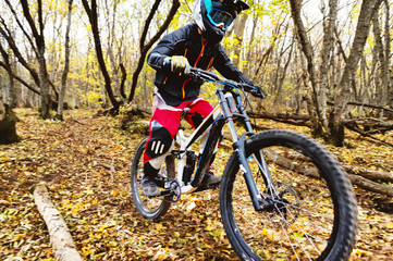 Plakat a young rider driving a mountain bike rides at speed downhill in the autumn forest.