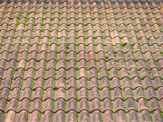 Real ancient mossy tiled roof background