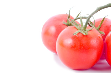 Closeup of tomatoes on the vine isolated on white