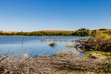 Little Fish Lake, Little fish Lake Provinvial Park, Alberta, Canada