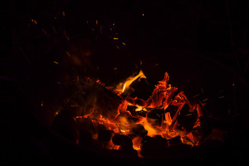 Fire burning in a barbecue, in a hike outside the city in the forest