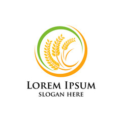 Obraz premium Agriculture wheat Logo Template vector icon design. emblem and label design