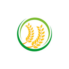 Agriculture wheat Logo Template vector icon design. emblem and label design