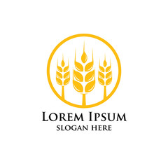Agriculture wheat Logo Template vector icon design. emblem and label design
