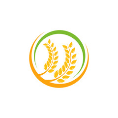 Agriculture wheat Logo Template vector icon design. emblem and label design