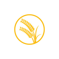 Agriculture wheat Logo Template vector icon design. emblem and label design