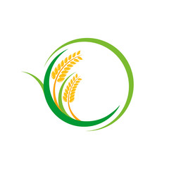Agriculture wheat Logo Template vector icon design. emblem and label design
