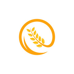 Agriculture wheat Logo Template vector icon design. emblem and label design