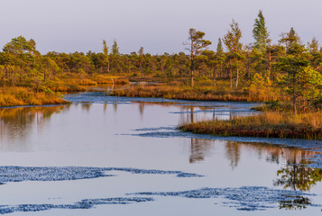 Great Kemeri bog (Lielais Kemeru tirelis) in sunny autumn day, Latvia