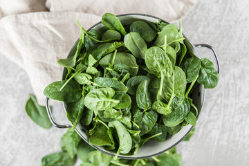 Baby spinach leaves