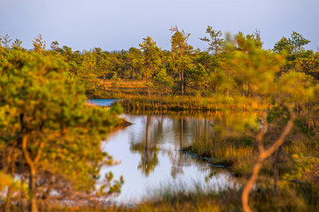 Great Kemeri bog (Lielais Kemeru tirelis) in sunny autumn day, Latvia
