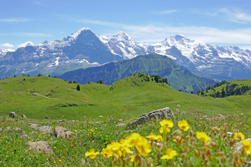 alpen: eiger, berner oberland, schweiz 