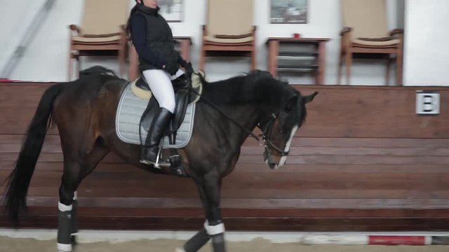 Professional horsewoman riding horse in a manege, running gallop
