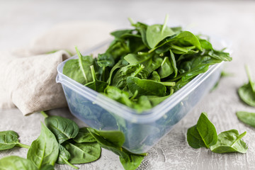 Baby spinach leaves