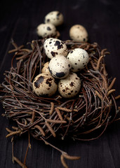 Naklejka na ściany i meble Quail eggs in nest on rustic wooden background, copy space. Healthy food concept. Top view, flat lay. Easter eggs. Happy Easter concept