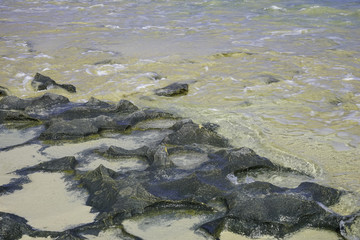 Beautiful landscape near Sea in Spain