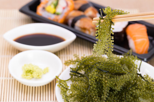 Fresh Sea Grapes (Caulerpa Lentillifera) , Seaweed and zushi , Healthy food