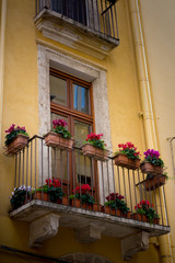 Fototapeta na wymiar Vertical View of a Balcony Decorated With Fresh Flowers on the Facade of a Building in San Paolo District. Bari, South of Italy