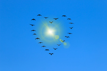 heart of birds flying in the in the blue sky. The birds fly towards the screen. The sun shines in the middle of the heart with sun rays emerging outwards from the center of the heart 