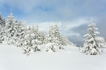 Beautiful Snow-covered Carpathians