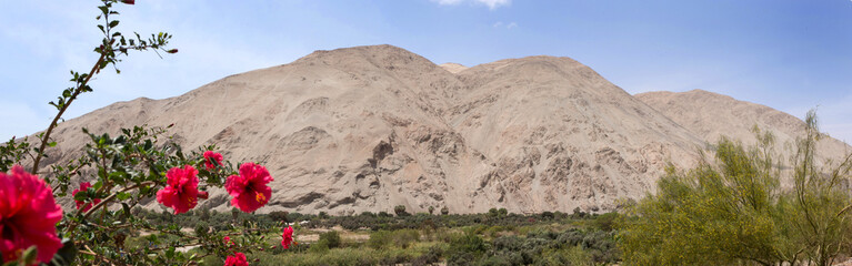 Chiriba desert. Ilo peru