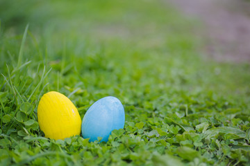 Yellow and white Easter eggs on the leaves of the clover. Easter background. Celebration of Easter in Ukraine.